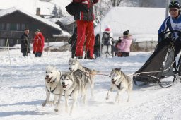 Lenk 2012 SM